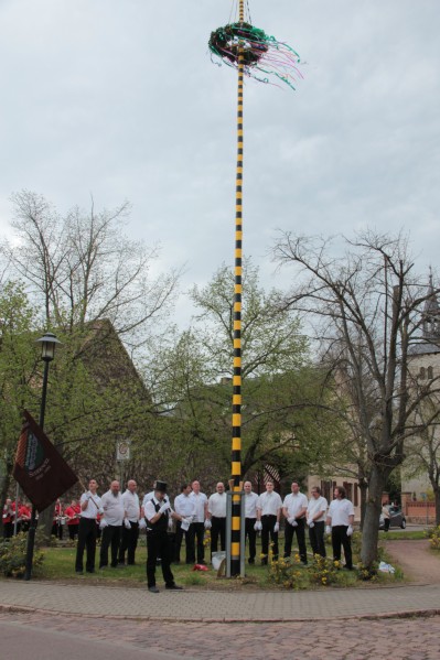 both_su_maibaum_begruessen_2015-04-25.jpg