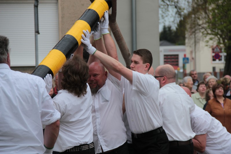both_su_maibaum_stemmen_2015-04-25.jpg