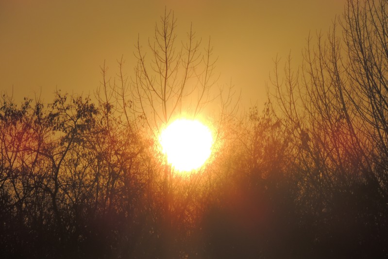 gruetzner_chr_sonnenuntergang_im_heinz-roessler-park_2015-02-13.jpg