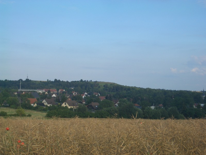 heidenreich_blick_durchs_rapsfeld_2009-07-09.jpg