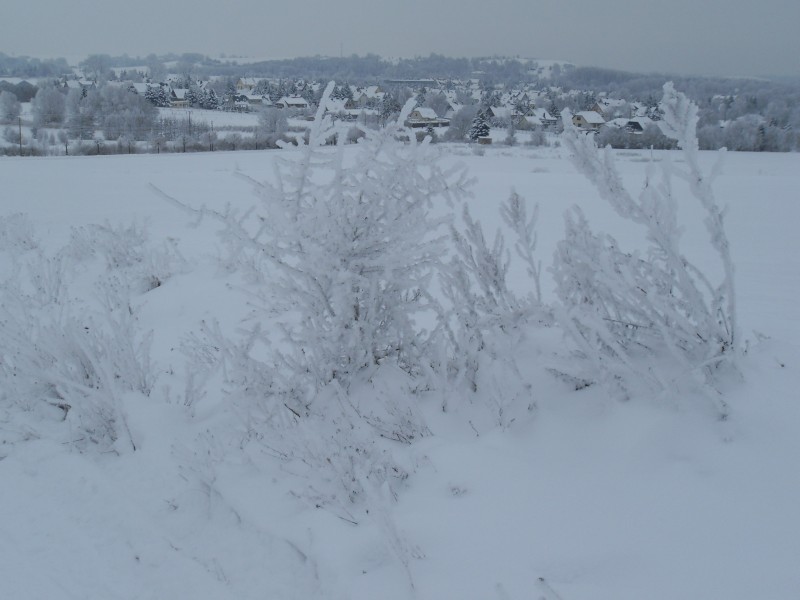 heidenreich_sennewitz_erblickt_durch_schnee_und_raureif_2010-01-06.jpg