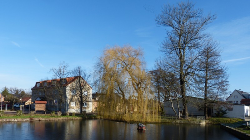 miljukow_v_dorfteich_2015-01-18.jpg