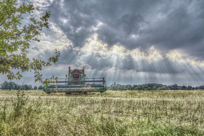 miljukow_w_erntezeit-hdr_2015-07-24.jpg