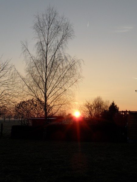 bartel_sonnenuntergang_am_kirschrain_2015-02-19.jpg