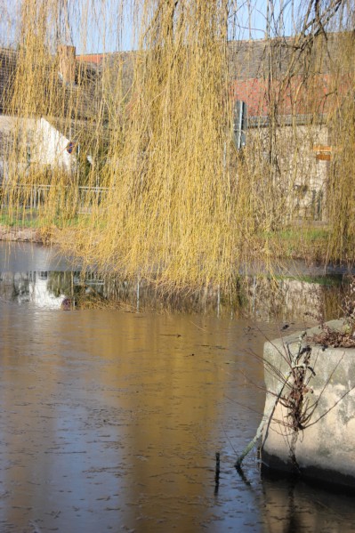 muehs-portius_winterliche_idylle_am_dorfteich_2015-01-18.jpg