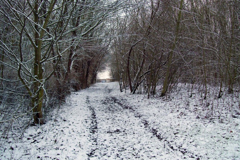 sulek_der_weg_-_winter_2015.jpg