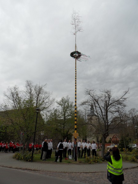 bartel_der_maibaum_steht_2015-04-25.jpg