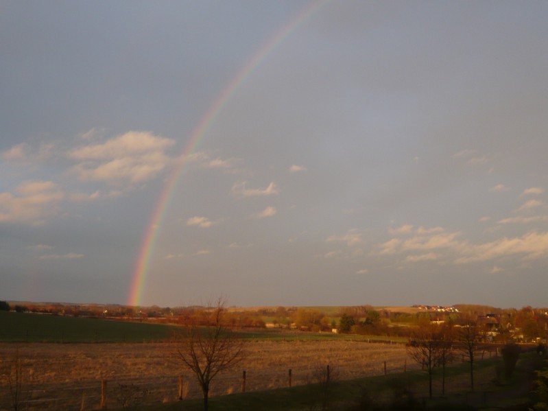 warich_regenbogen_2009-03-08.jpg