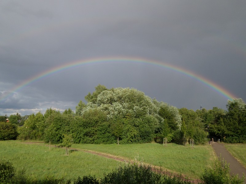 wendt_regenbogen_ueber_sennewitz.jpg