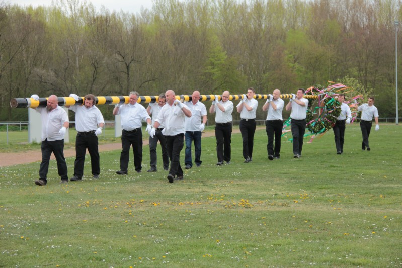both_su_maibaum-traeger_2015-04-25.jpg