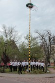 both_su_maibaum_begruessen_2015-04-25.jpg