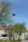 both_su__maibaum_am_dorfplatz_2015-04-30.jpg