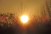 gruetzner_chr_sonnenuntergang_im_heinz-roessler-park_2015-02-13.jpg