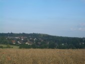 heidenreich_blick_durchs_rapsfeld_2009-07-09.jpg