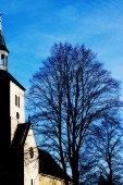 miljukow_v_kirche_mit_baum_im_winter_2015-01-18.jpg