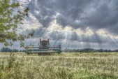miljukow_w_erntezeit-hdr_2015-07-24.jpg