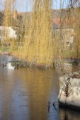 muehs-portius_winterliche_idylle_am_dorfteich_2015-01-18.jpg