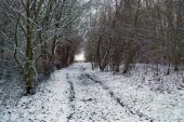 sulek_der_weg_-_winter_2015.jpg