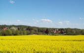 sulek_impressionismus_in_sennewitz_2015-05-06.jpg